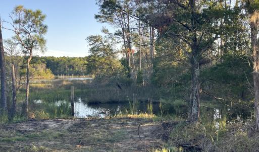 Photo #9 of 555 Upper Neck, Bayboro, NC 2.0 acres