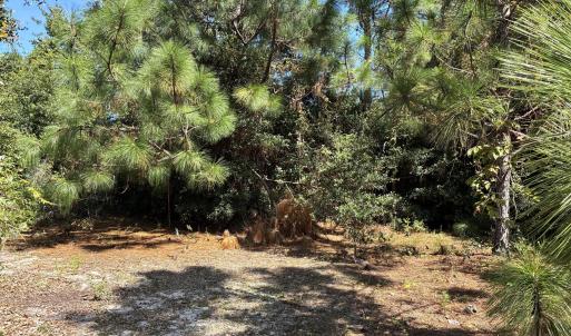 Photo #3 of 421 Bobby Jones, Wilmington, NC 0.3 acres