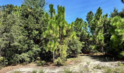 Photo #2 of 421 Bobby Jones, Wilmington, NC 0.3 acres