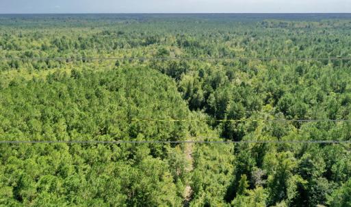 Photo #6 of Bud Stephens, Evergreen, NC 54.5 acres