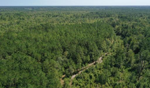 Photo #10 of Bud Stephens, Evergreen, NC 54.5 acres