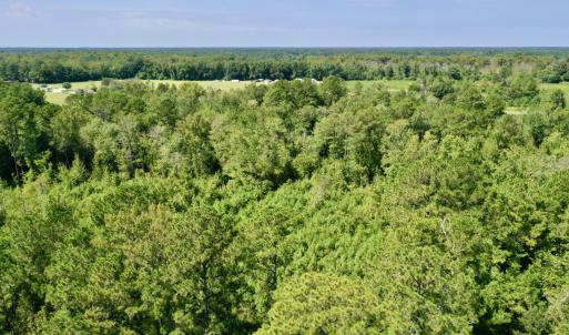 Photo #1 of Bud Stephens, Evergreen, NC 54.5 acres