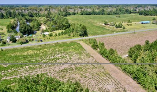 Photo #5 of Bud Stephens, Evergreen, NC 54.5 acres
