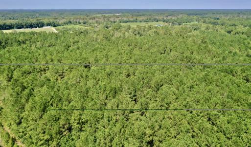 Photo #9 of Bud Stephens, Evergreen, NC 54.5 acres