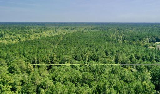 Photo #8 of Bud Stephens, Evergreen, NC 54.5 acres