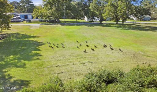 11_dji_0994