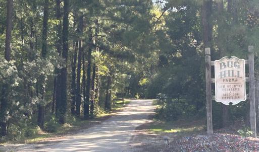 Photo #17 of 466 Indigo, Tabor City, NC 287.0 acres