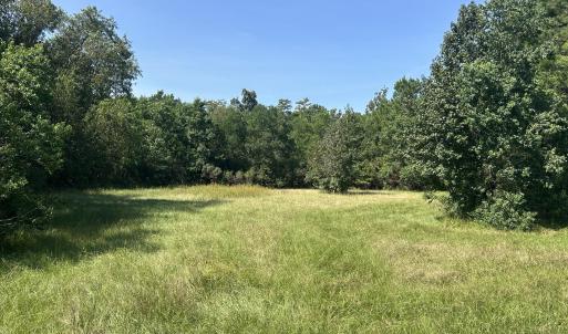 Photo #35 of 466 Indigo, Tabor City, NC 287.0 acres