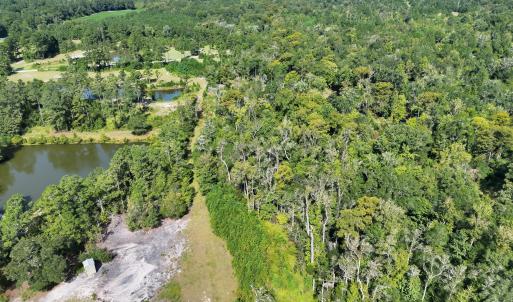 Photo #5 of 466 Indigo, Tabor City, NC 287.0 acres