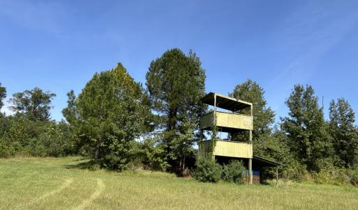 Photo #36 of 466 Indigo, Tabor City, NC 287.0 acres