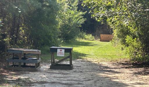 Photo #25 of 466 Indigo, Tabor City, NC 287.0 acres