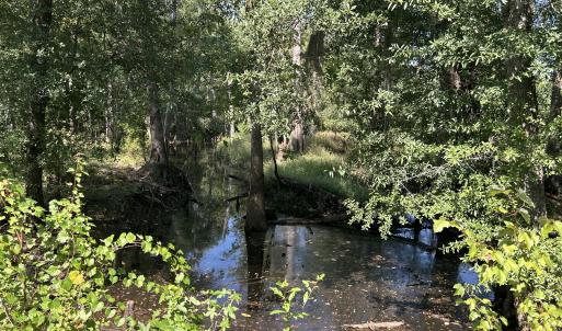 Photo #33 of 466 Indigo, Tabor City, NC 287.0 acres