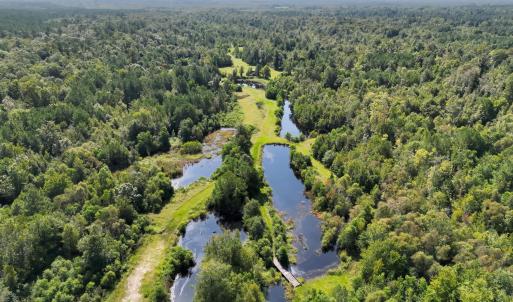 Photo #7 of 466 Indigo, Tabor City, NC 287.0 acres