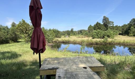 Photo #37 of 466 Indigo, Tabor City, NC 287.0 acres