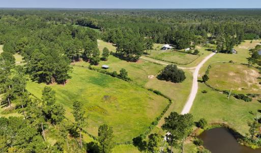 Photo #11 of 466 Indigo, Tabor City, NC 287.0 acres