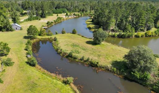 Photo #13 of 466 Indigo, Tabor City, NC 287.0 acres