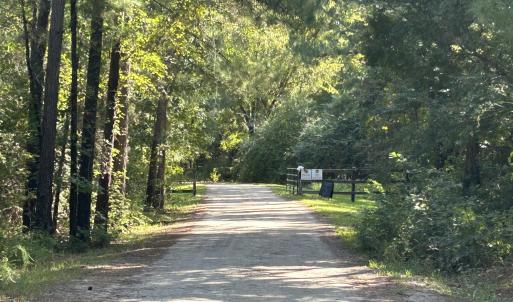Photo #18 of 466 Indigo, Tabor City, NC 287.0 acres