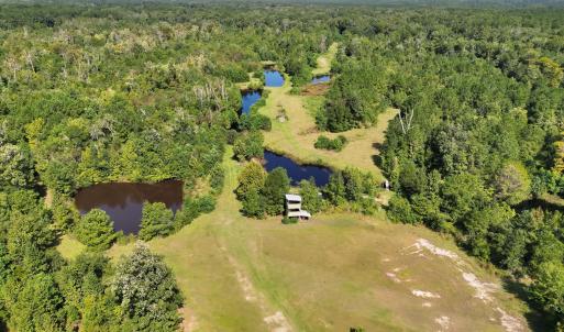 Photo #9 of 466 Indigo, Tabor City, NC 287.0 acres