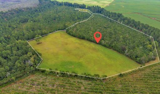 Photo #3 of N/A Parkertown, Hubert, NC 75.0 acres