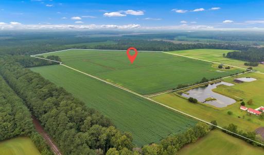 Photo #8 of N/A Parkertown, Hubert, NC 75.0 acres