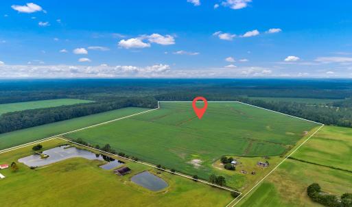 Photo #9 of N/A Parkertown, Hubert, NC 75.0 acres