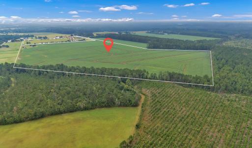 Photo #4 of N/A Parkertown, Hubert, NC 75.0 acres