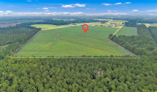Photo #6 of N/A Parkertown, Hubert, NC 75.0 acres