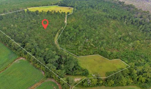Photo #1 of N/A Parkertown, Hubert, NC 75.0 acres