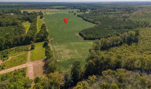 Photo #3 of Highway 32, Roper, NC 71.0 acres
