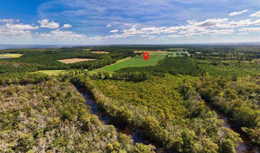 Photo #11 of Highway 32, Roper, NC 71.0 acres