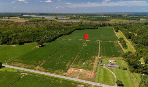 Photo #7 of Highway 32, Roper, NC 71.0 acres