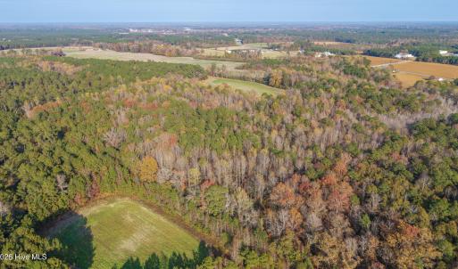 Photo #2 of 41.5 Acres High School, Teachey, NC 41.5 acres