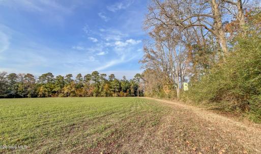 Photo #16 of 41.5 Acres High School, Teachey, NC 41.5 acres