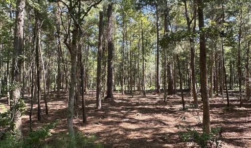 Photo #2 of 1380 Manuel, Supply, NC 3.2 acres