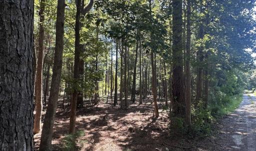 Photo #3 of 1380 Manuel, Supply, NC 3.2 acres