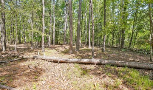 Photo #5 of 3496 Fairway Crest, Shallotte, NC 0.3 acres