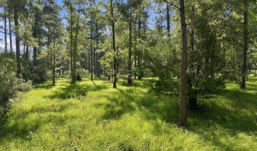Photo #7 of 101 Hidden Harbor, Beaufort, NC 2.4 acres