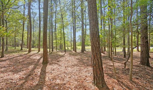 Photo #6 of 3736 Pine Brook, Shallotte, NC 0.2 acres