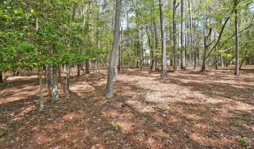 Photo #5 of 3736 Pine Brook, Shallotte, NC 0.2 acres