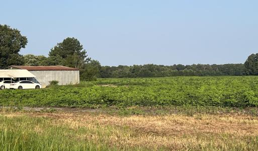 Photo #1 of 3541 Daughety White Road, Kinston, NC 21.3 acres