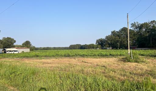 Photo #3 of 3541 Daughety White Road, Kinston, NC 21.3 acres