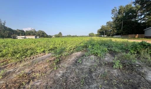 Photo #7 of 3541 Daughety White Road, Kinston, NC 21.3 acres