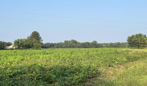 Photo #5 of 3541 Daughety White Road, Kinston, NC 21.3 acres