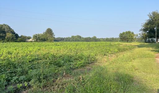 Photo #8 of 3541 Daughety White Road, Kinston, NC 21.3 acres