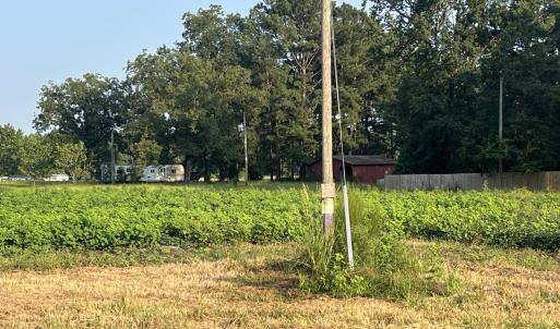 Photo #4 of 3541 Daughety White Road, Kinston, NC 21.3 acres