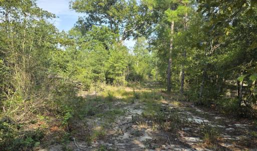 Photo #1 of 131 Spirit, Aiken, SC 3.0 acres