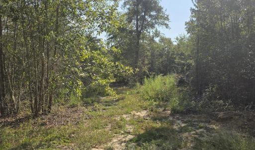 Photo #2 of 131 Spirit, Aiken, SC 3.0 acres