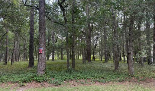 Photo #1 of 3055 Channel, Bolivia, NC 0.2 acres