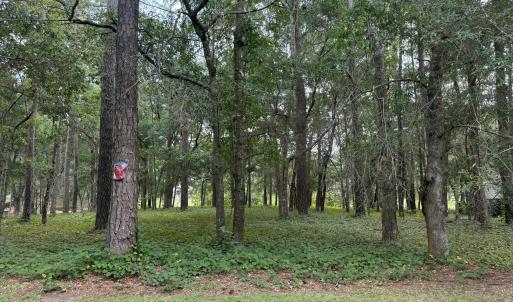 Photo #4 of 3055 Channel, Bolivia, NC 0.2 acres