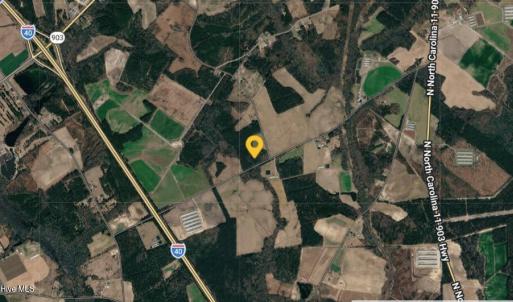 Photo #10 of 1923 Leonard Rich, Magnolia, NC 9.4 acres
